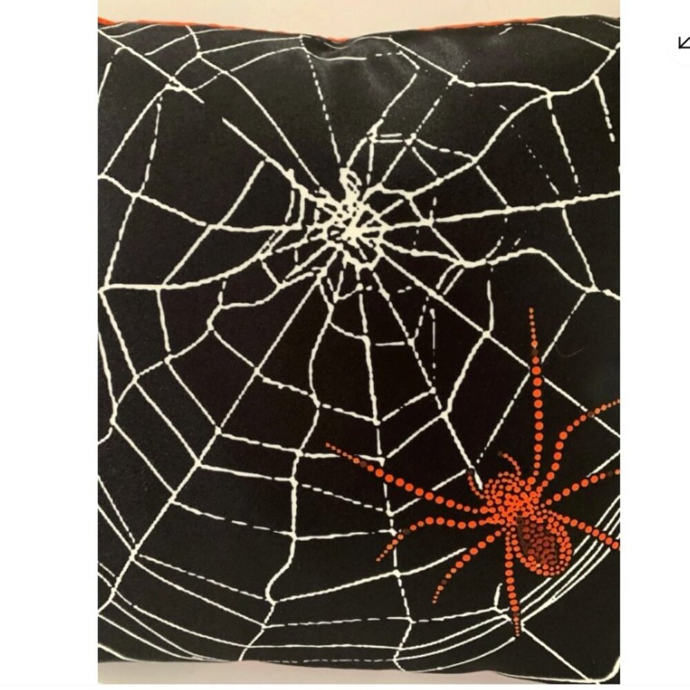 Grandin Road Spiderweb Pillow Item #98168 18 18 Halloween (2016)